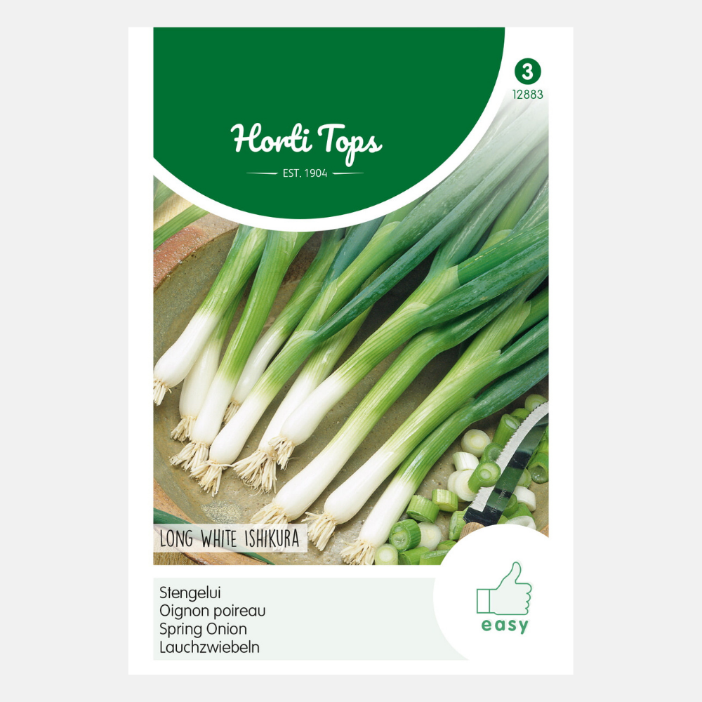 Oignon à tige 'Long White Ishikura'