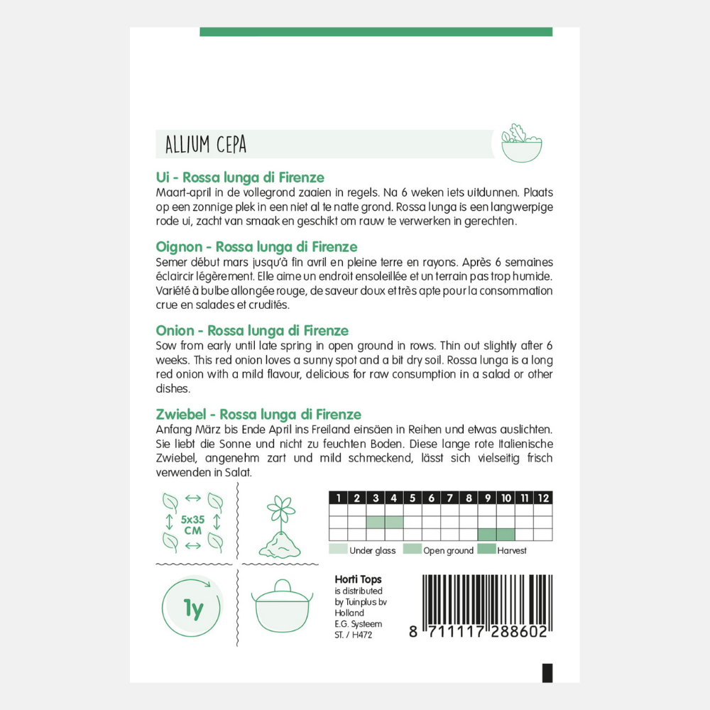 Onions/Onion 'Rossa lunga di Firenze'