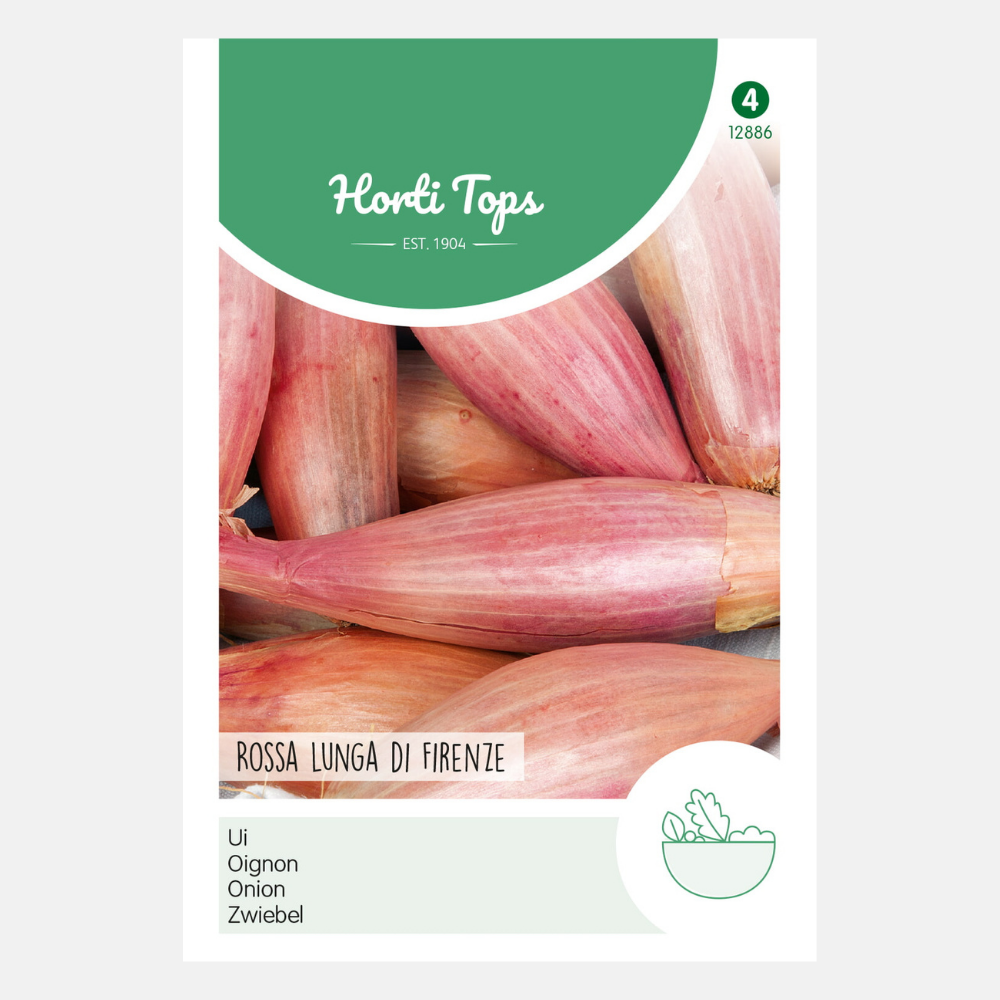 Onions/Onion 'Rossa lunga di Firenze'