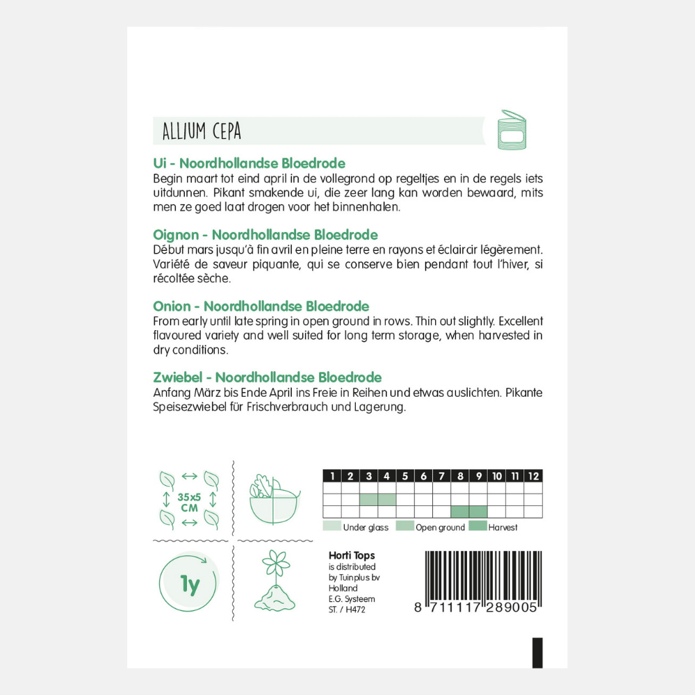 Onions/Onions 'North Holland Blood Red'