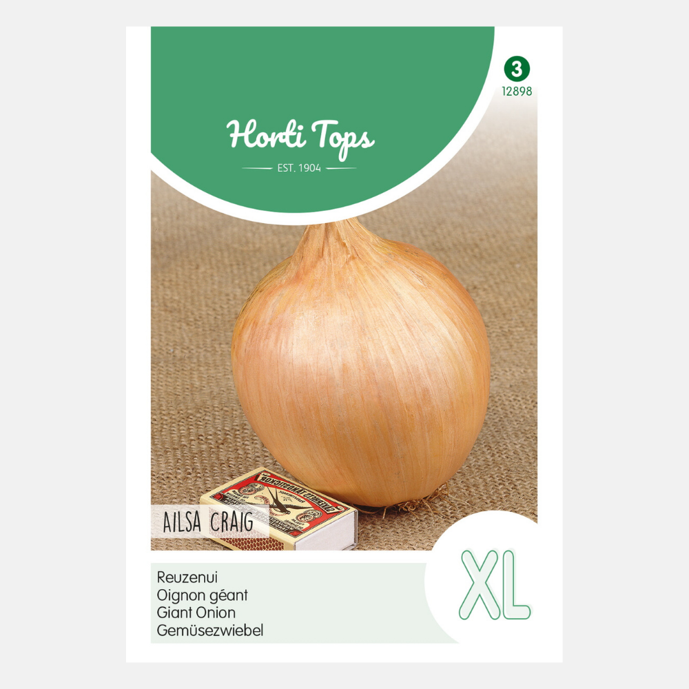 Onions/Scallions 'Ailsa Craig'