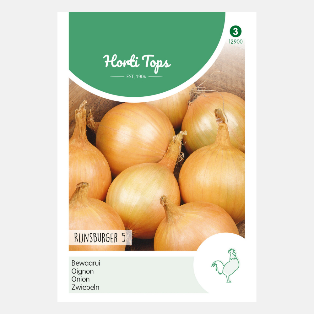 Onions/Onions 'Rijnsburger'