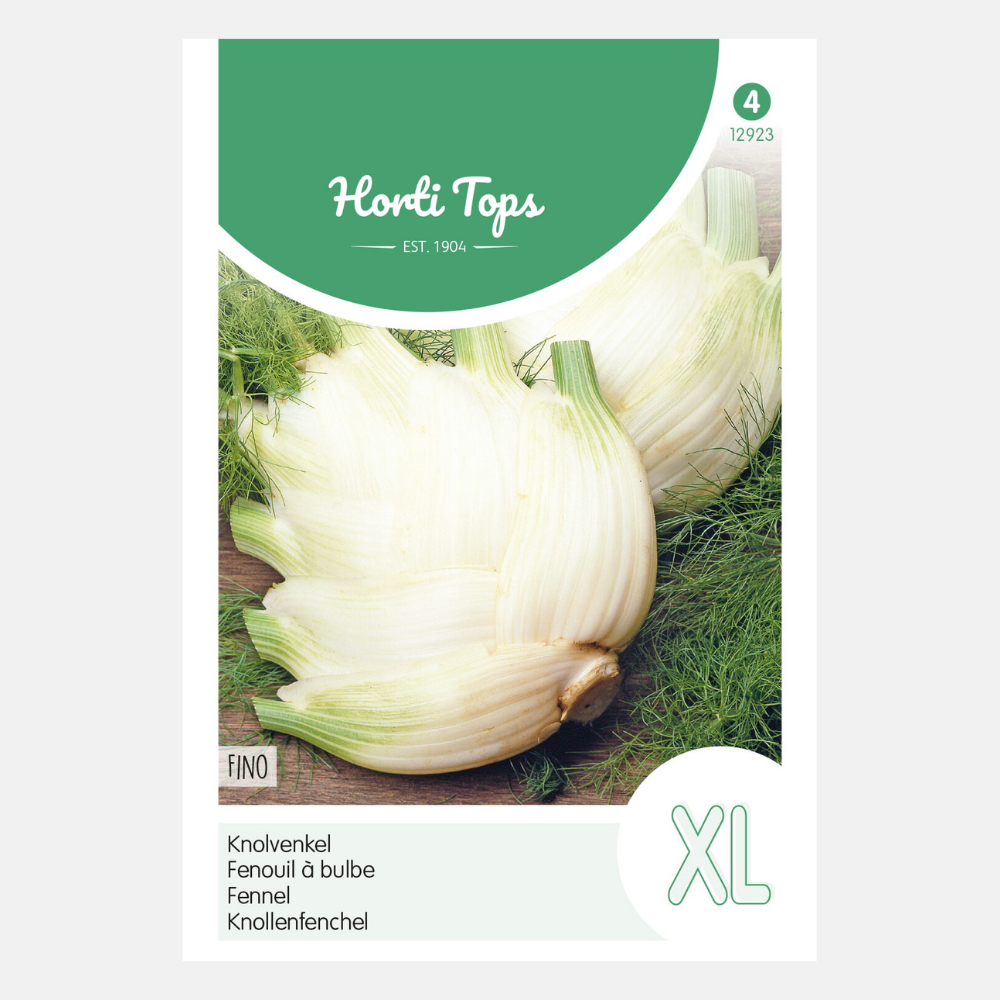 Fennel 'Zefa'