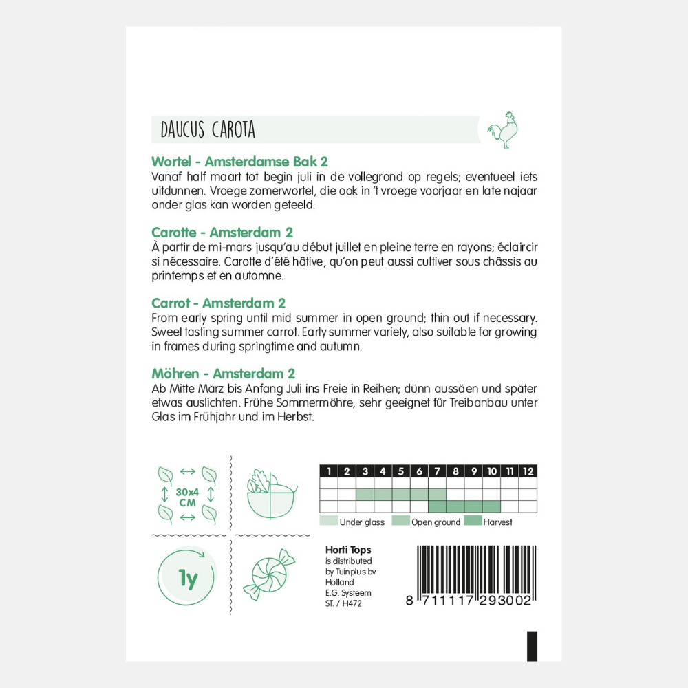 Carrot 'Amsterdamse Bak 2'