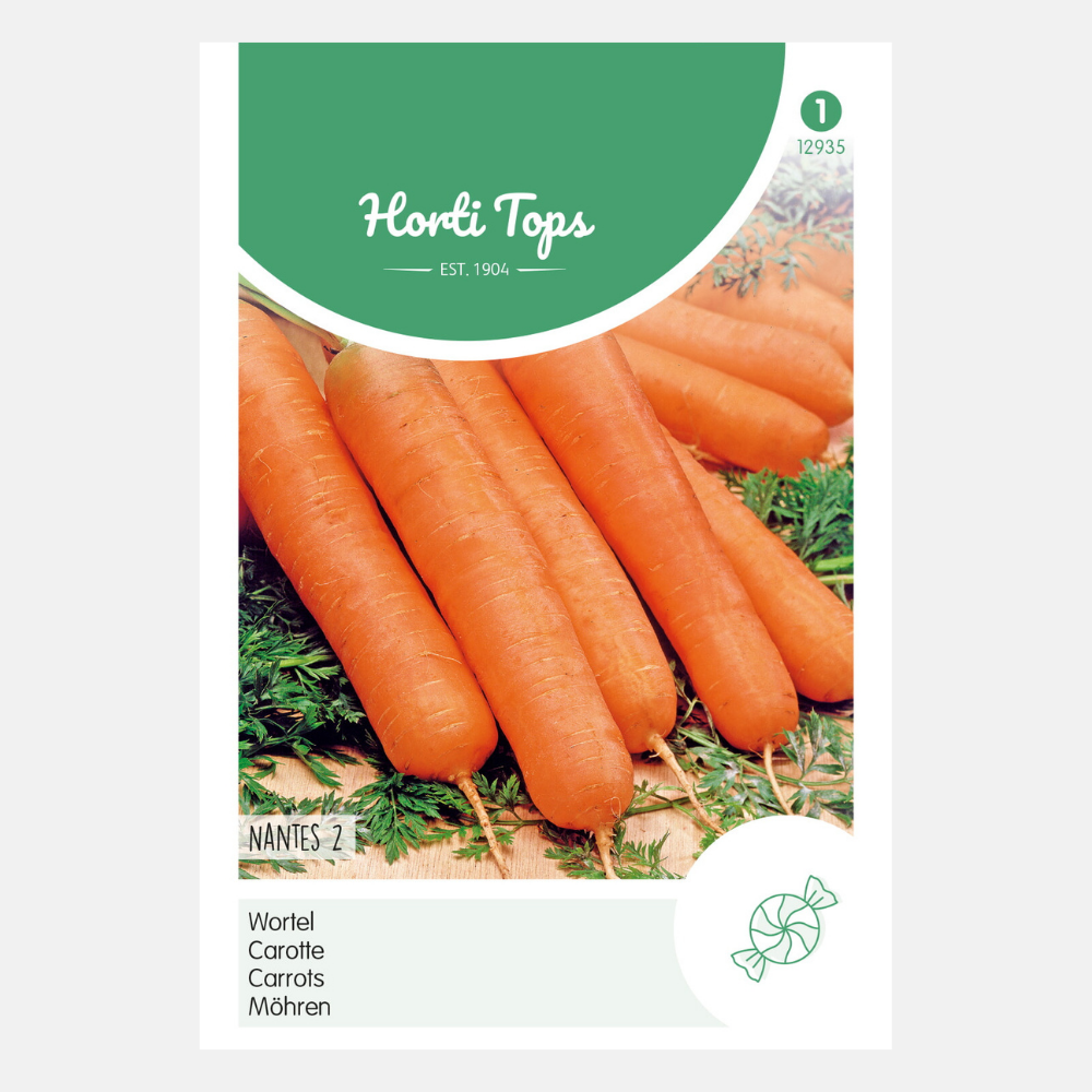 Carotte 'Nantes 2' - longueur moyenne