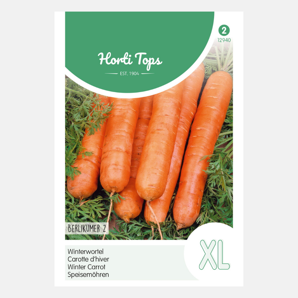 Carrot 'Berlikumer 2'