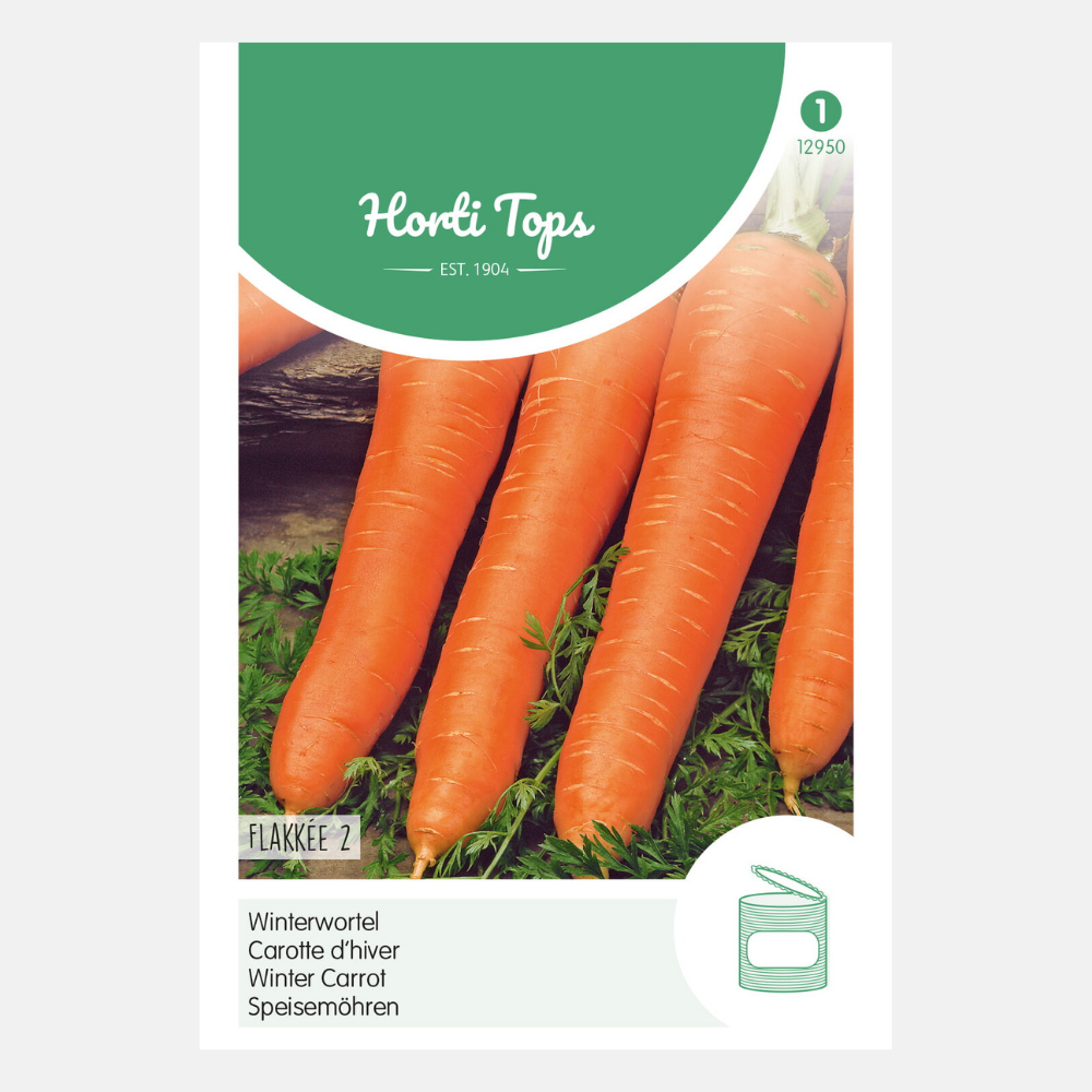 Carotte 'Flakkeese 2' - type à pointe émoussée