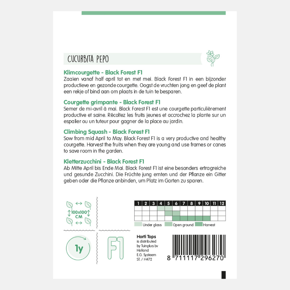 Klimcourgette 'Black Forest' F1