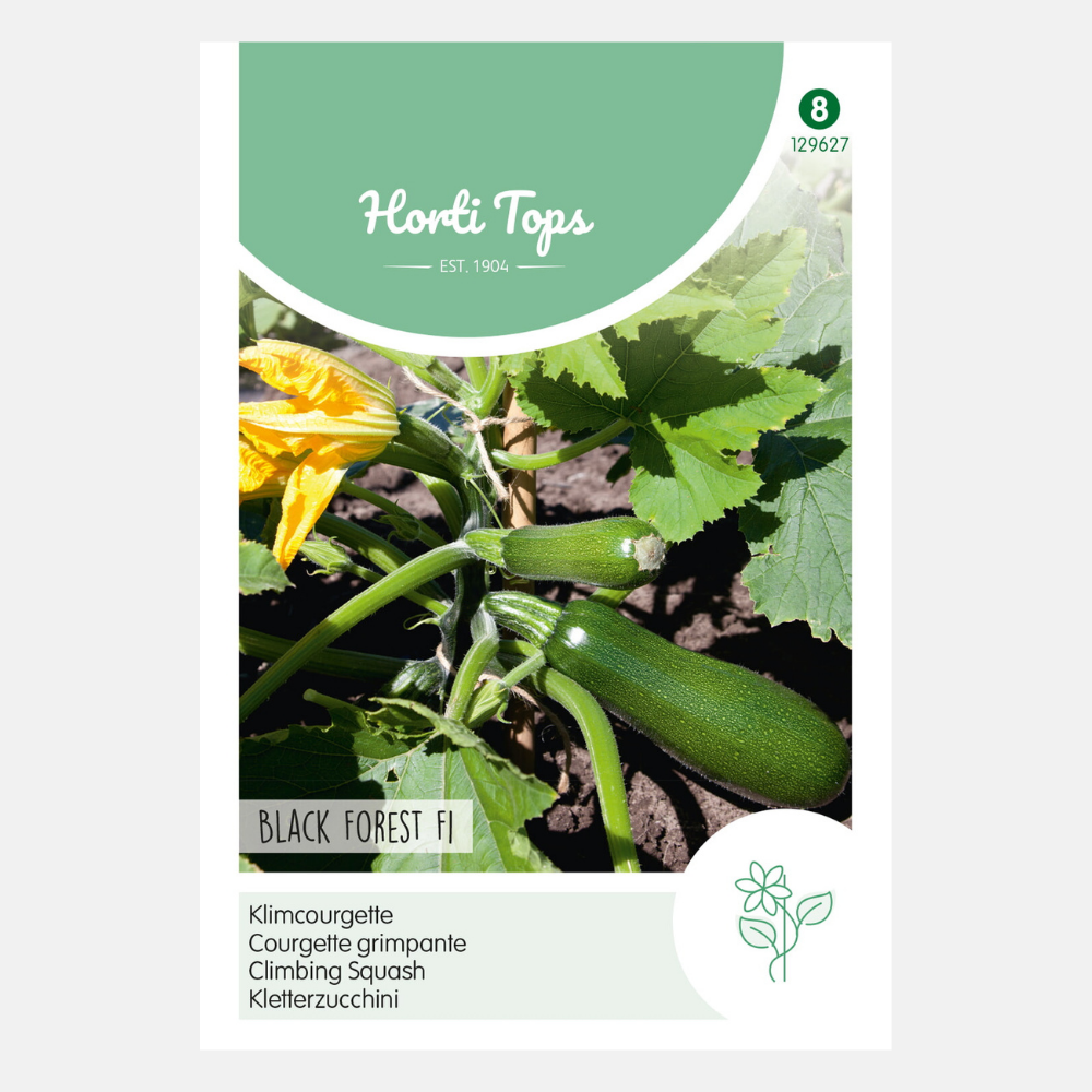 Klimcourgette 'Black Forest' F1