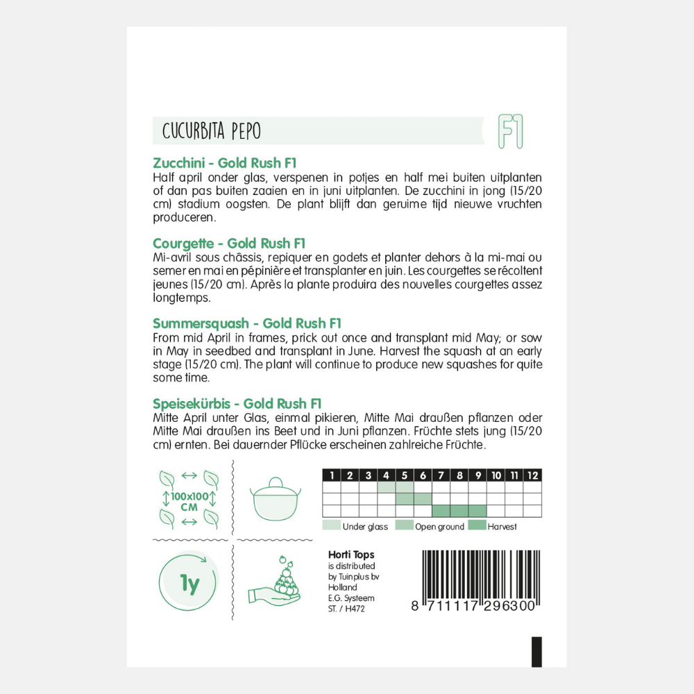 Courgette Jaune 'Gold Rush' F1