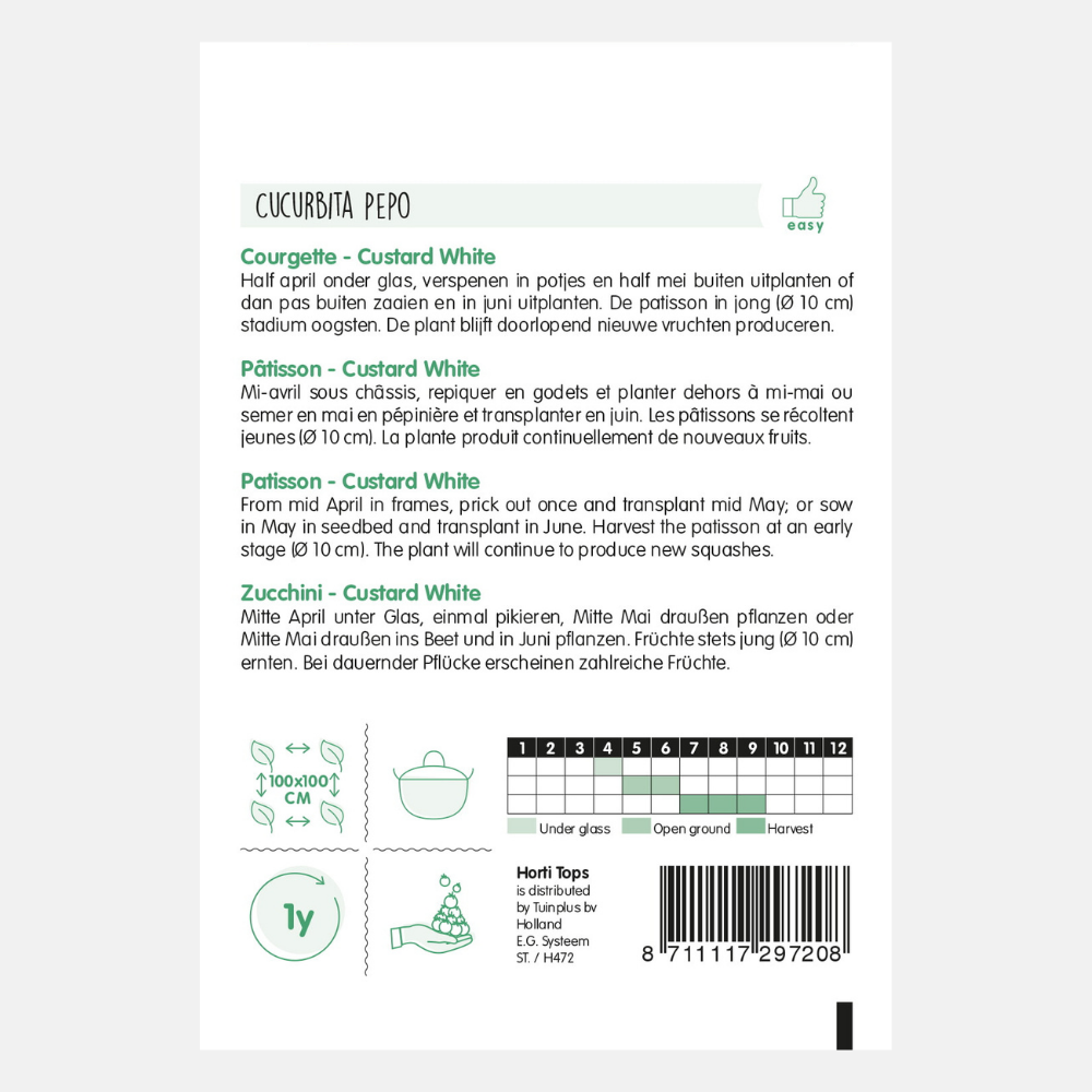 Patisson « Satellite d'été » F1