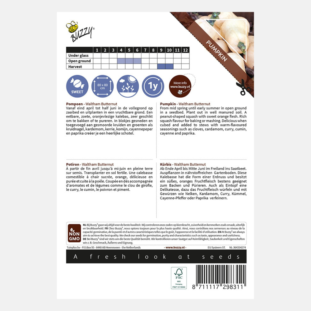 Citrouille 'Waltham'