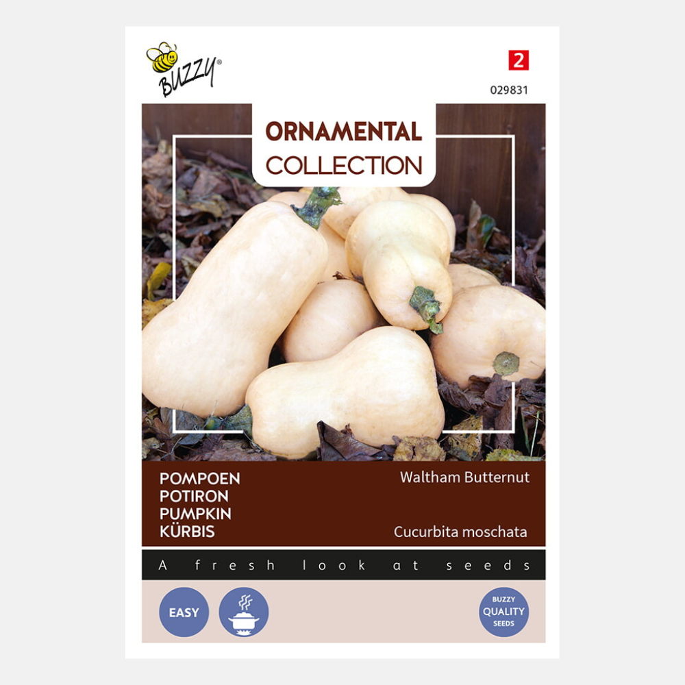 Citrouille 'Waltham'