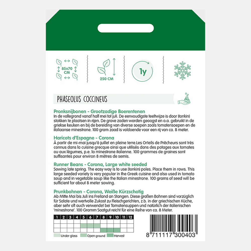 Runner beans 'Large-seeded Farmer's toes' - pole beans