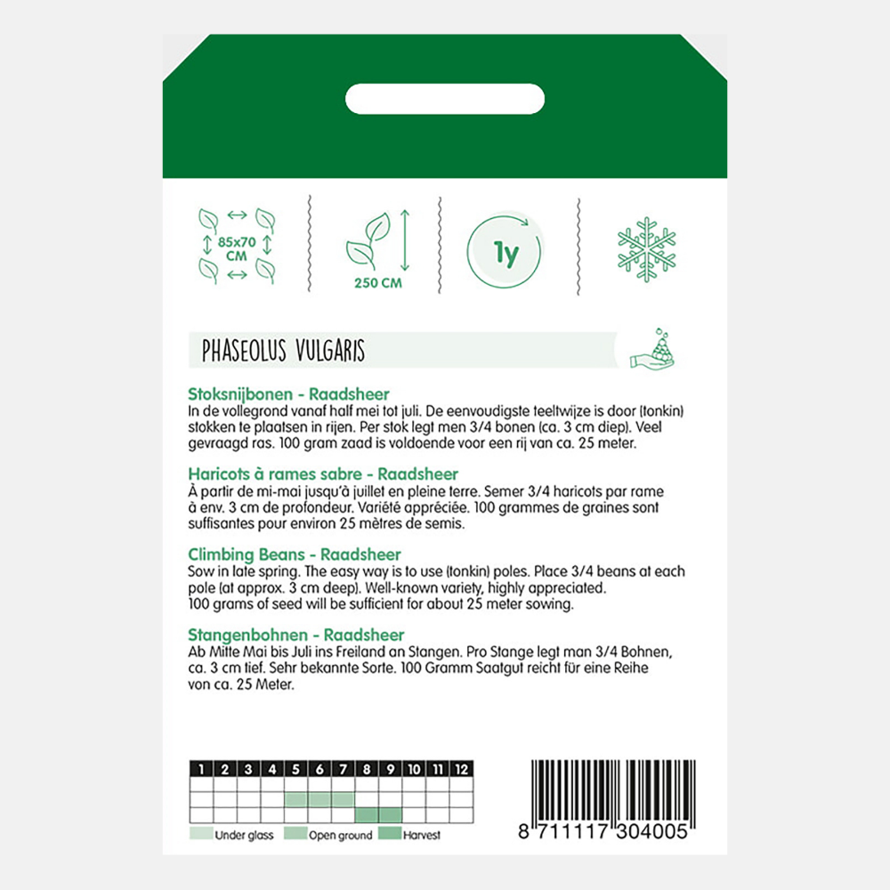 Haricots verts 'Raadsheer' - type Veense