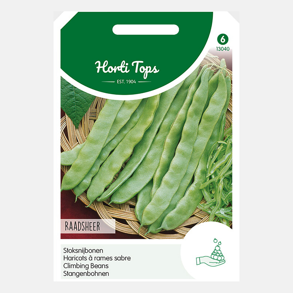 Haricots verts 'Raadsheer' - type Veense