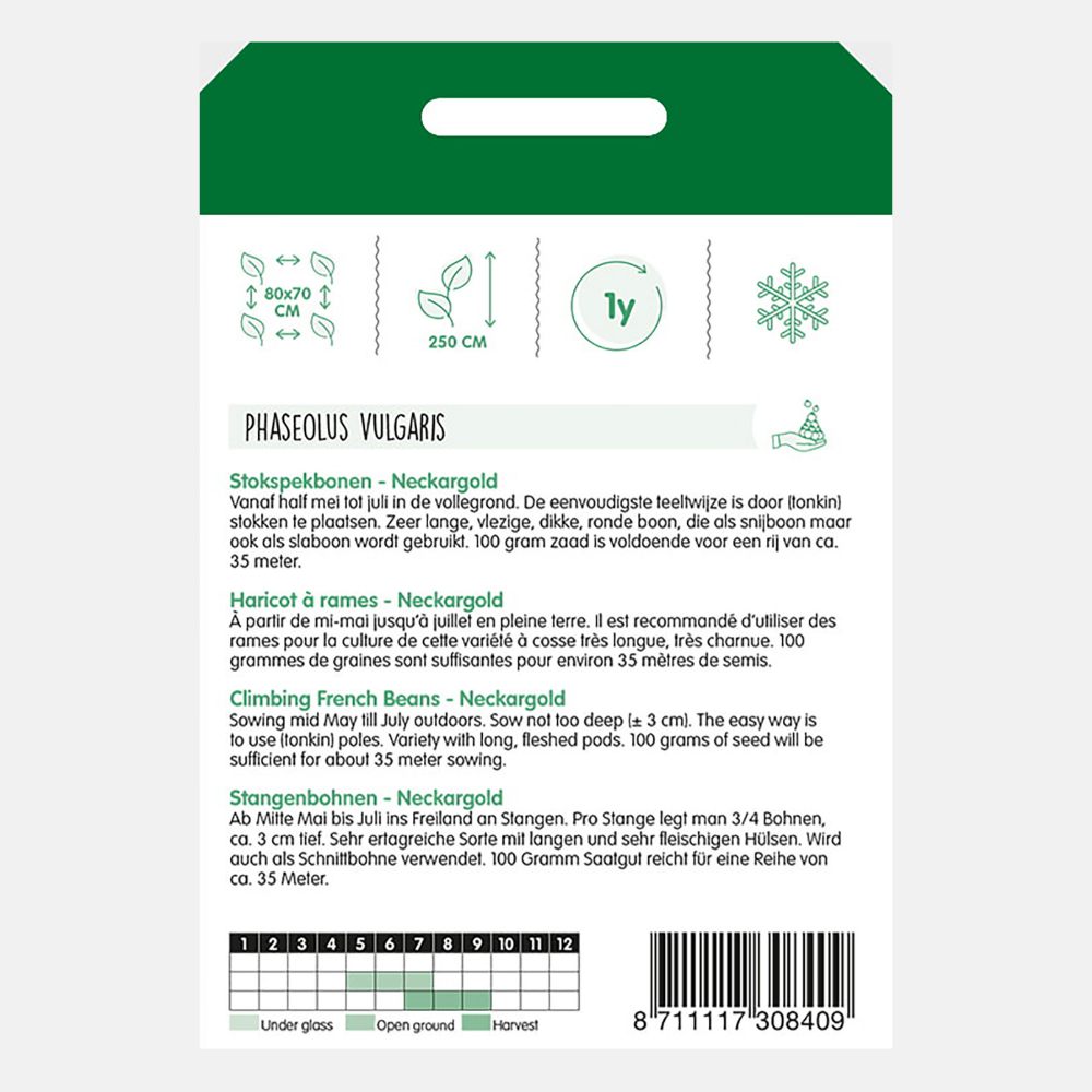 Pole Princess Beans 'Neckargold' - Yellow Butter Beans