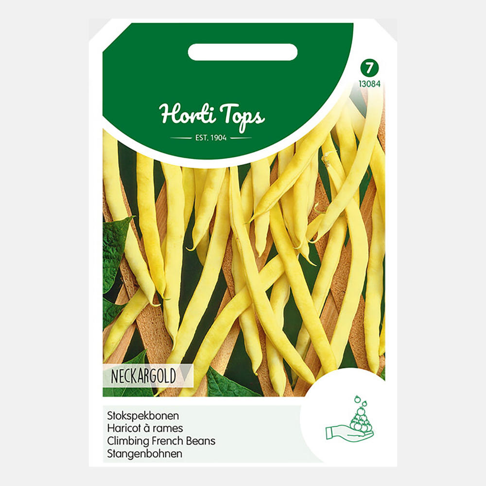 Pole Princess Beans 'Neckargold' - Yellow Butter Beans