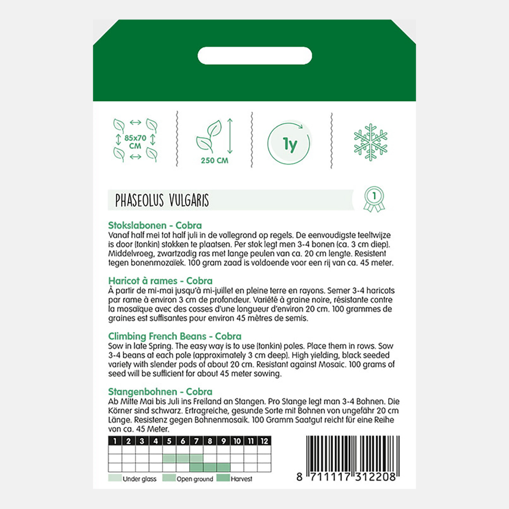 Haricots à rames Princesse 'Cobra'