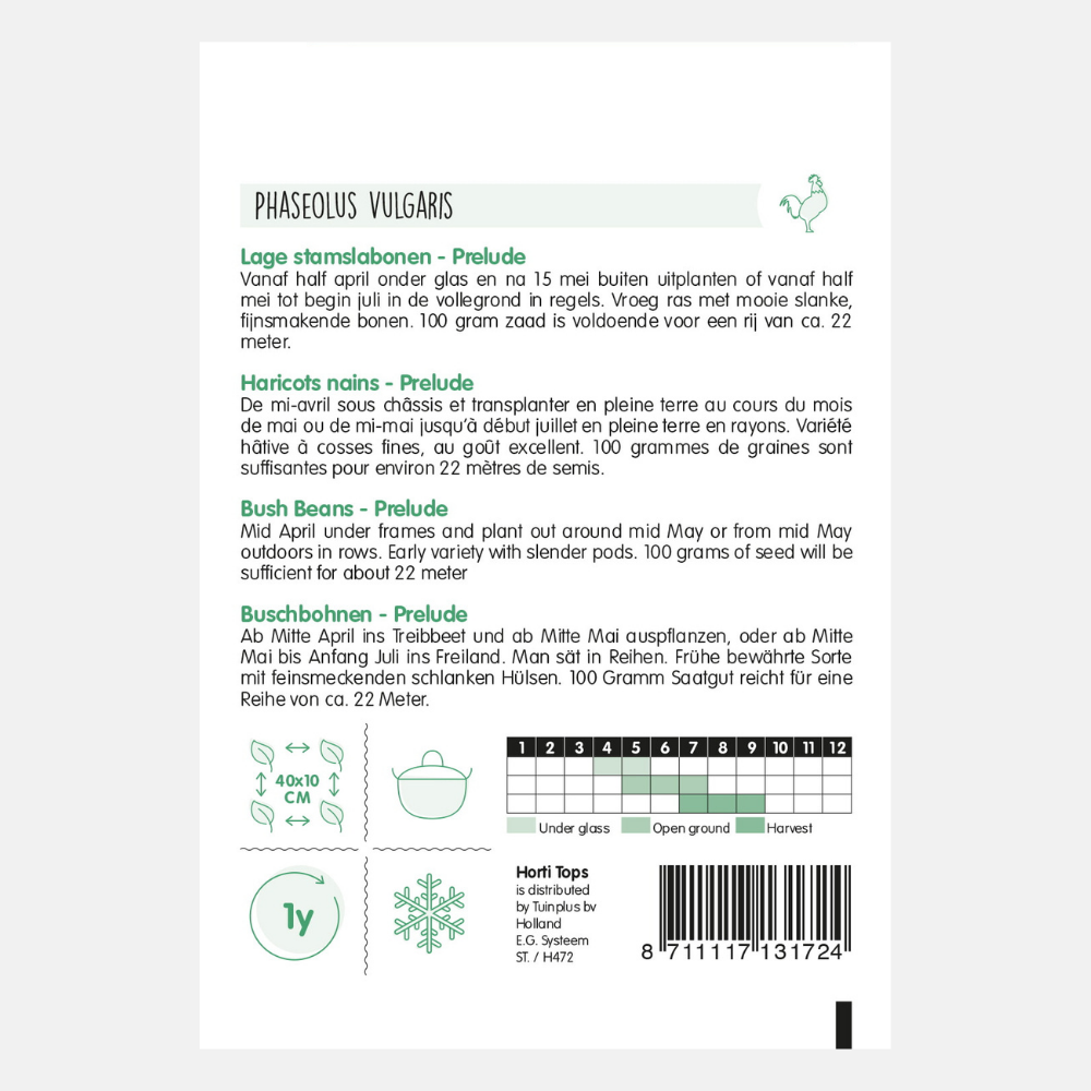 Bush Princess Beans 'Prelude'