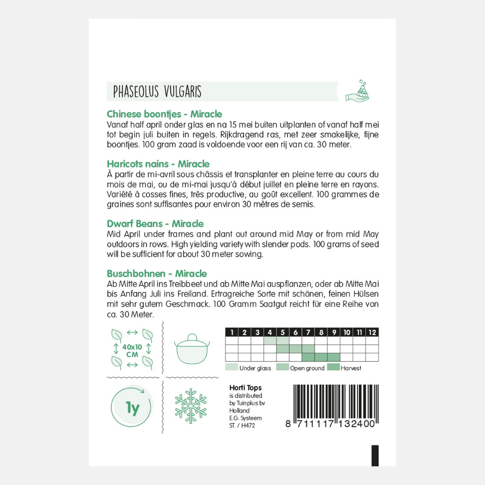 Bush Princess Beans 'Miracle' - Chinese Beans