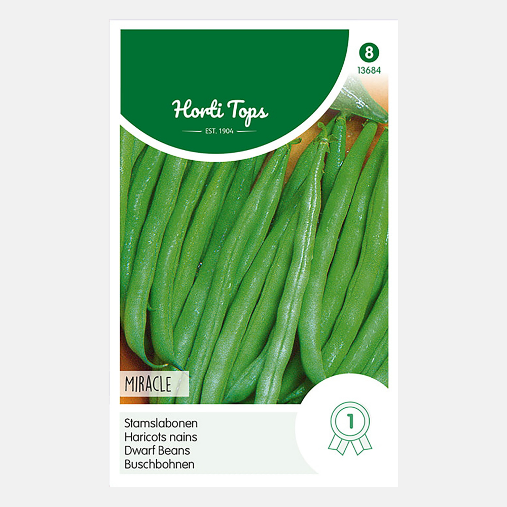 Bush Princess Beans 'Miracle' - Chinese Beans