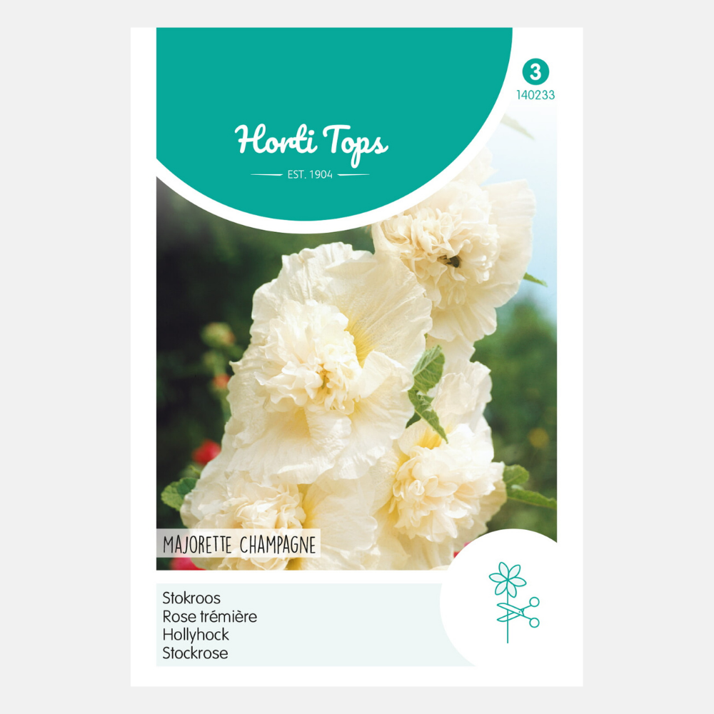 Hollyhock 'Majorette Champagne'