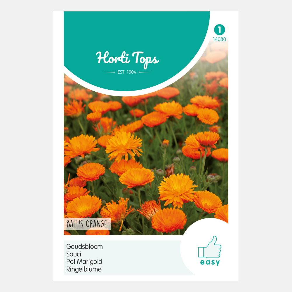 Souci 'Ball's Orange' - fleur double