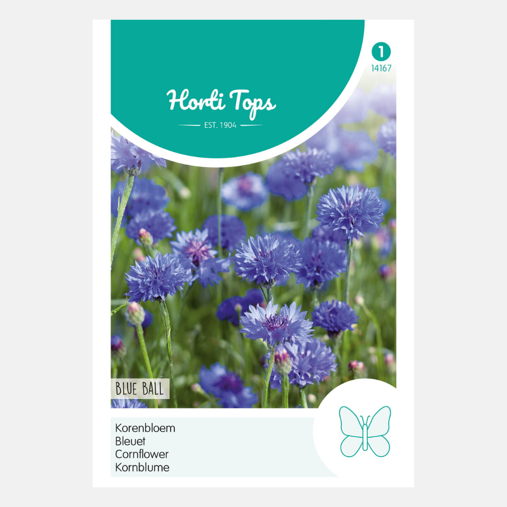 Bleuet 'Blue Ball'