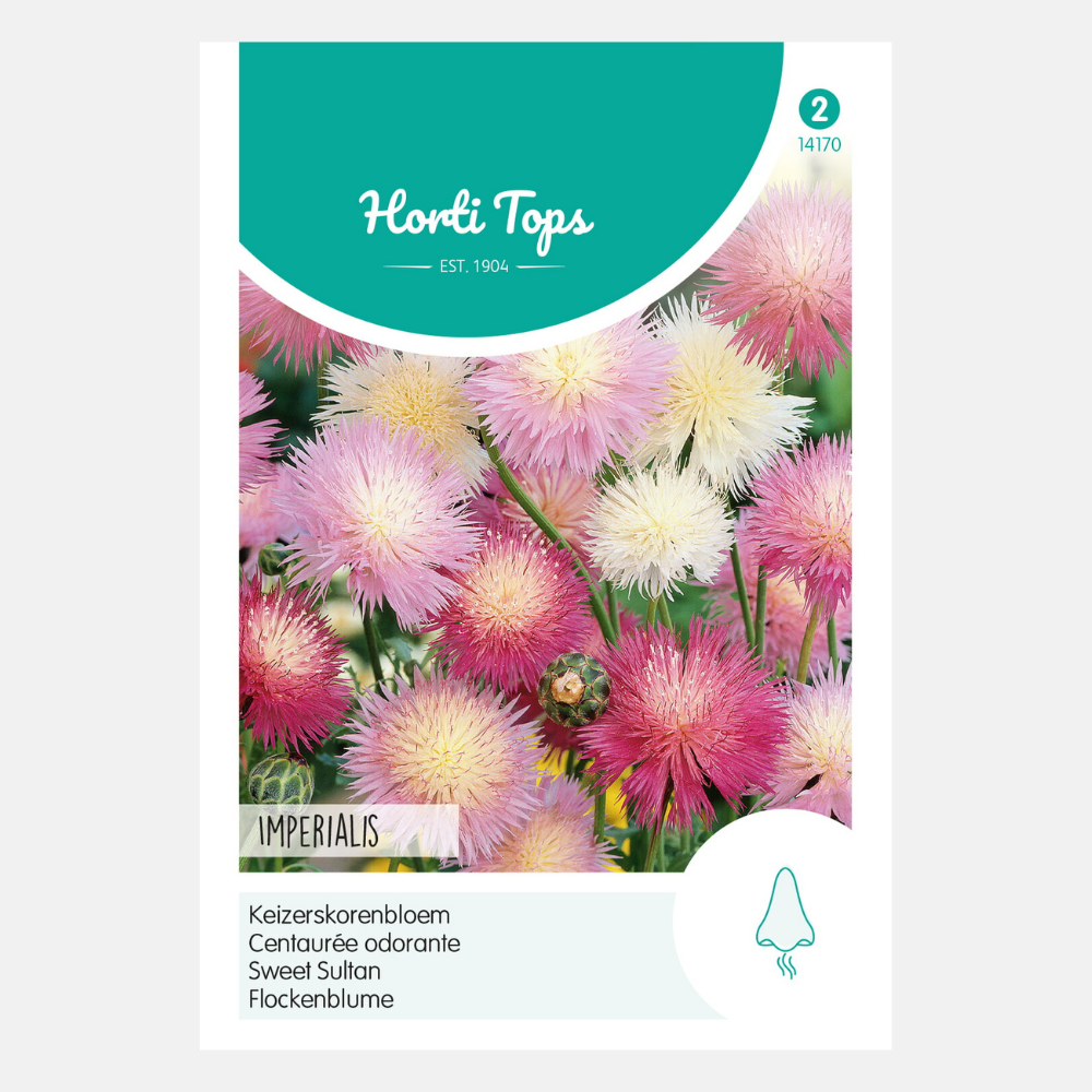 Bleuet empereur 'Imperialis' - en mélange