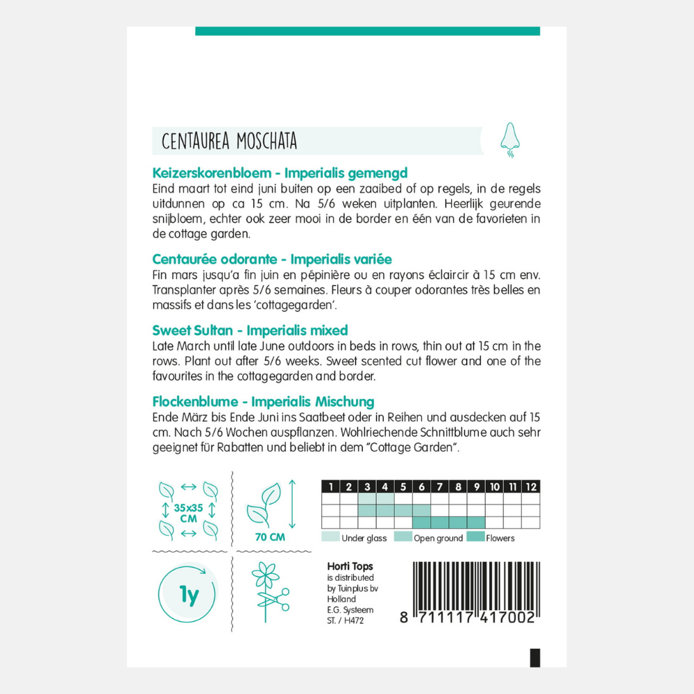 Bleuet empereur 'Imperialis' - en mélange