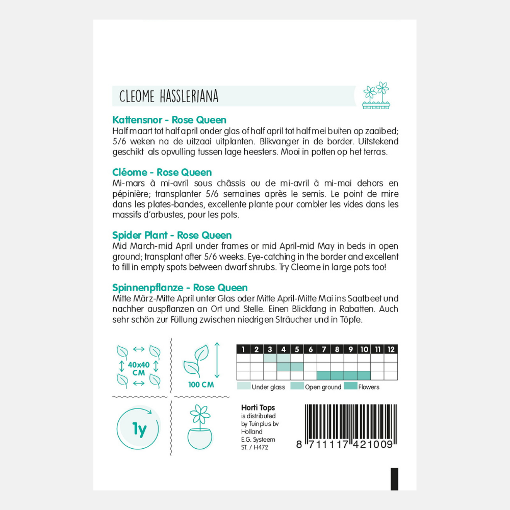 Moustaches de chat 'Rose Queen'