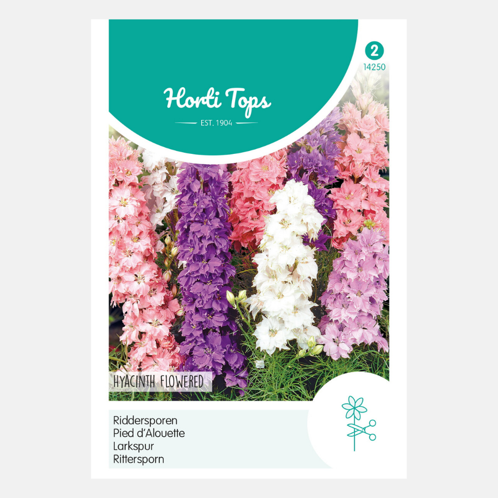 Riddersporen 'Hyacinthbloemig' - gemengd