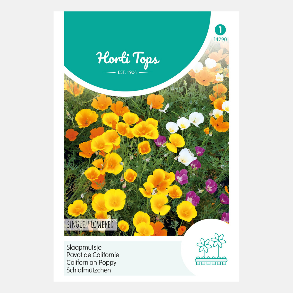 California poppy - single flowered, mixed