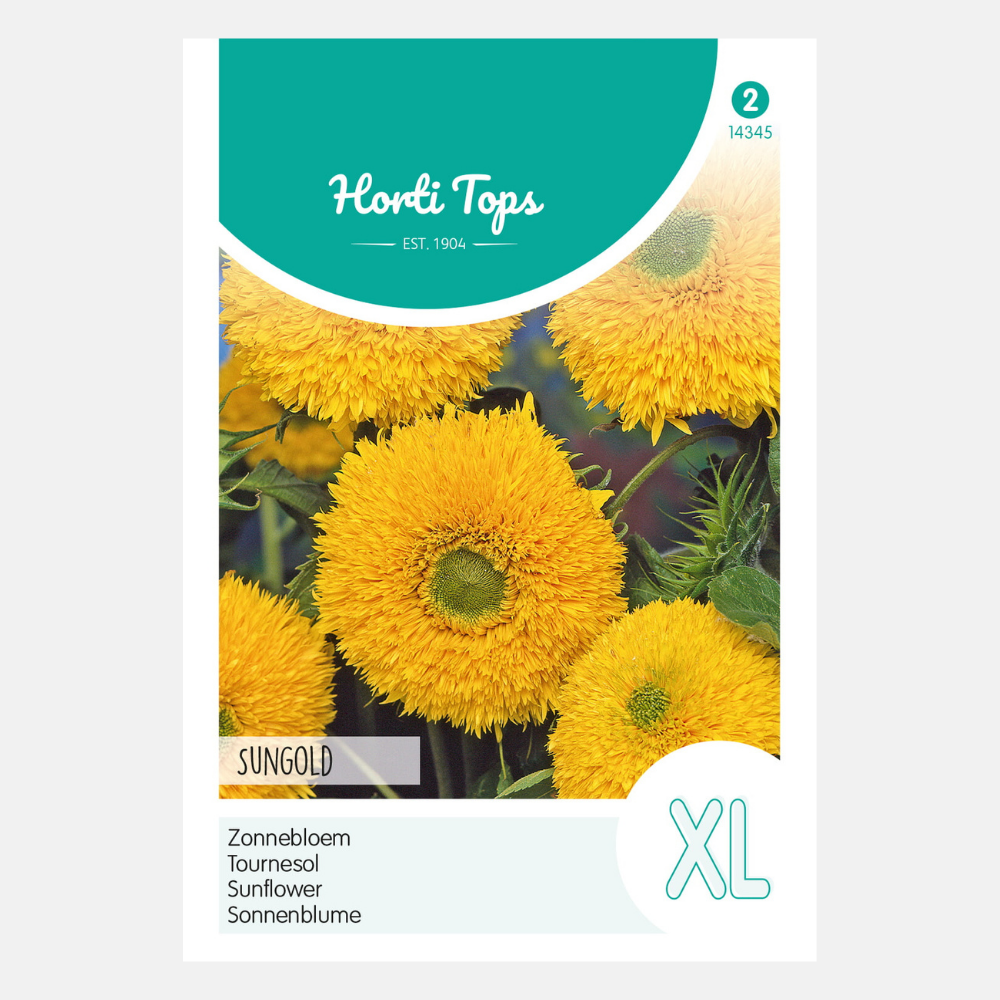 Zonnebloem 'Sungold' - dubbelbloemig, hoog