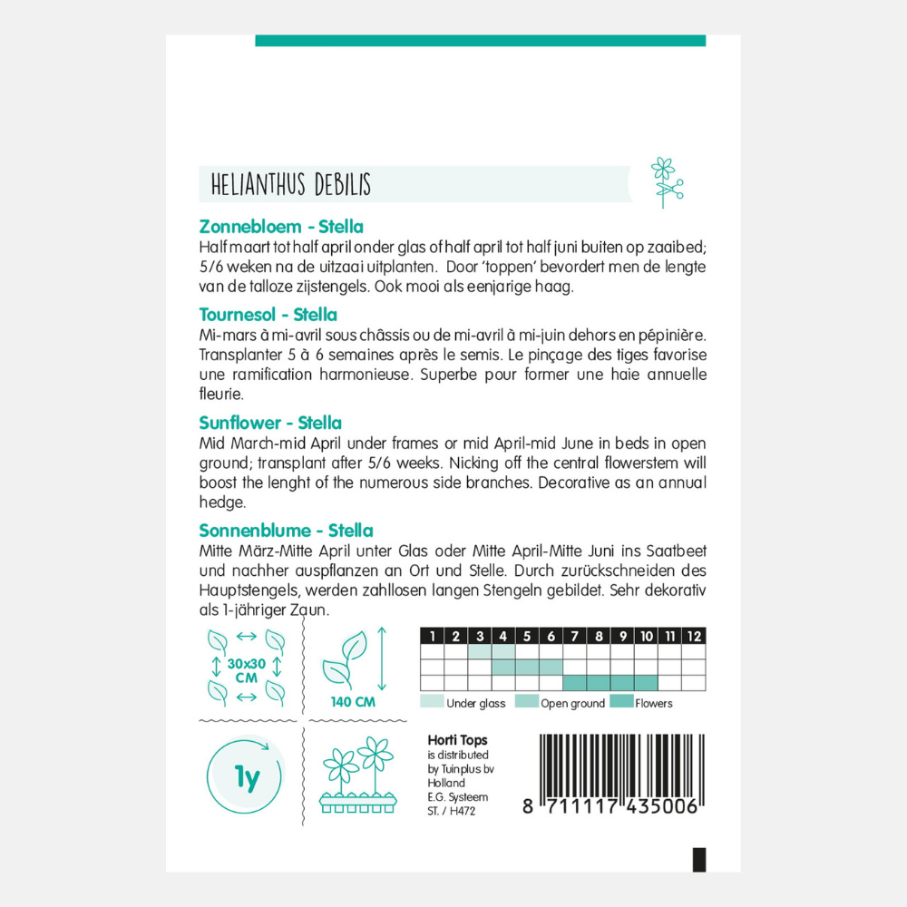 Sunflower 'Yellow Stella Miniature'