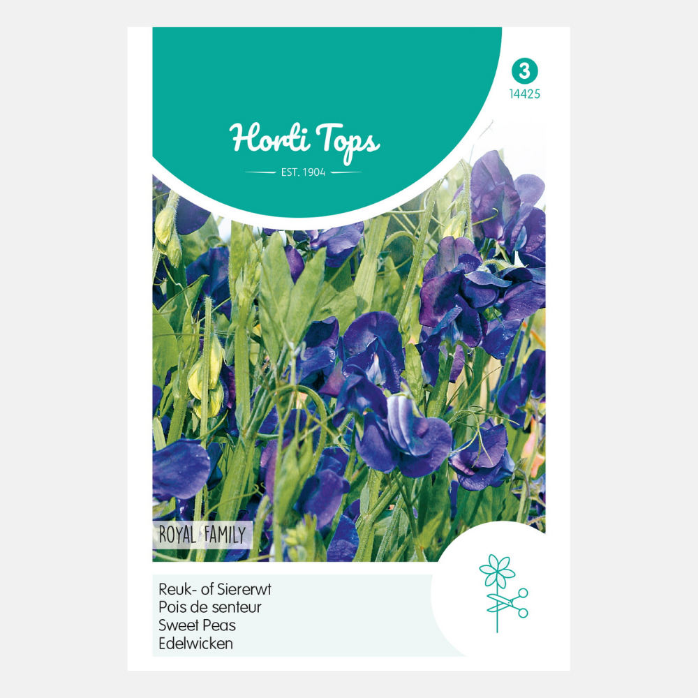 Pois de senteur « Royal Family » - bleu