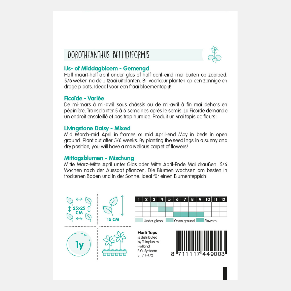 Fleur de glace ou de midi - mixte