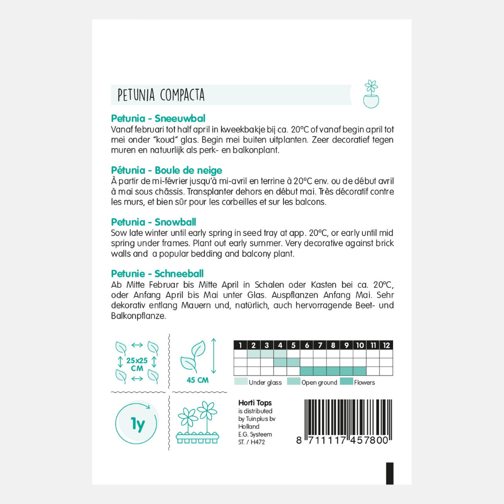 Pétunia Nana Compacta 'Snowball'