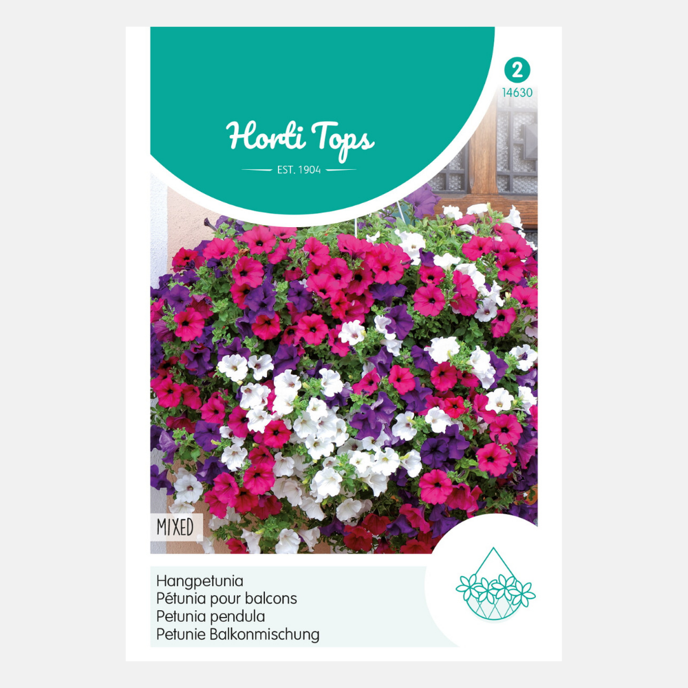 Pétunia retombant - mixte