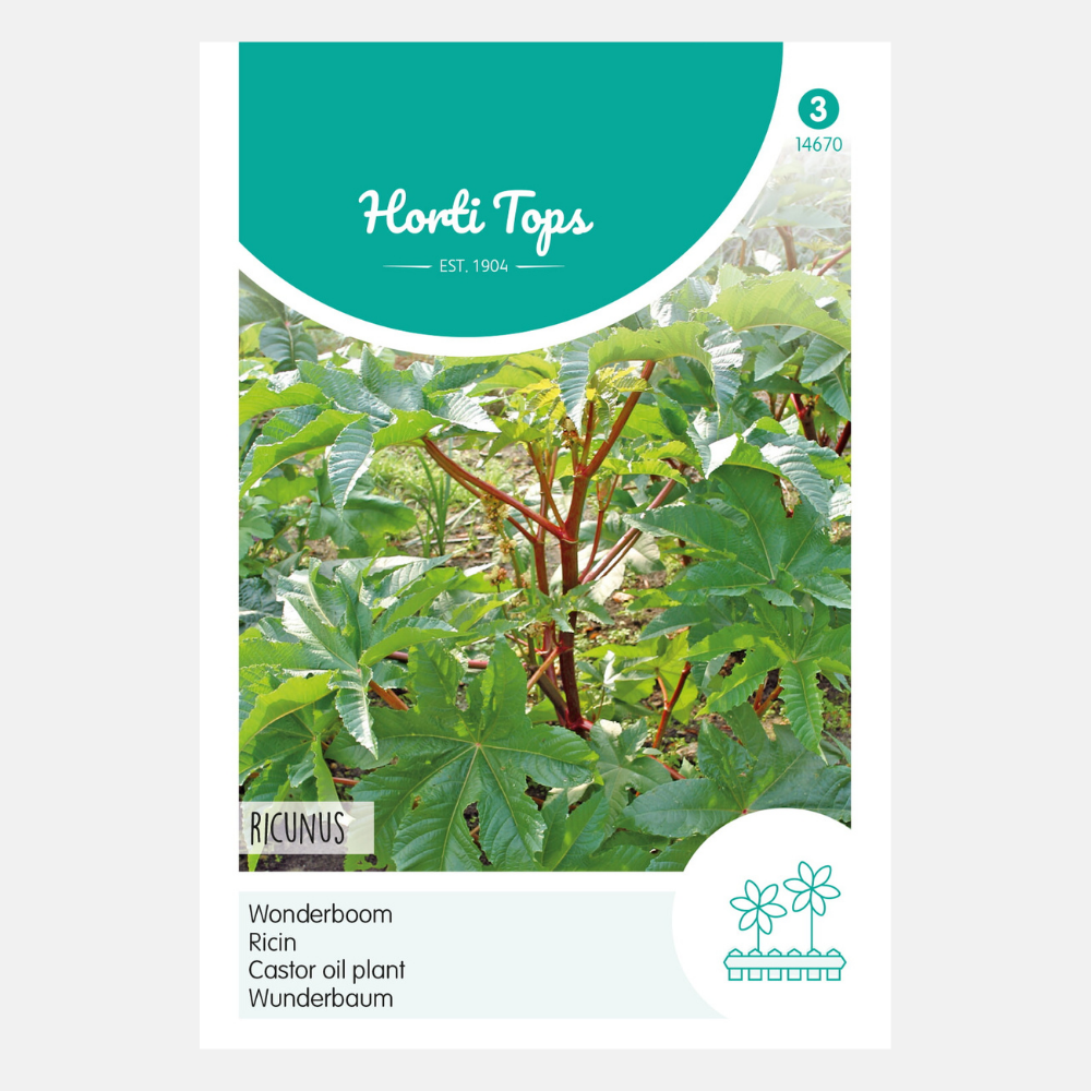 Ricinus/Wonderboom - gemengd