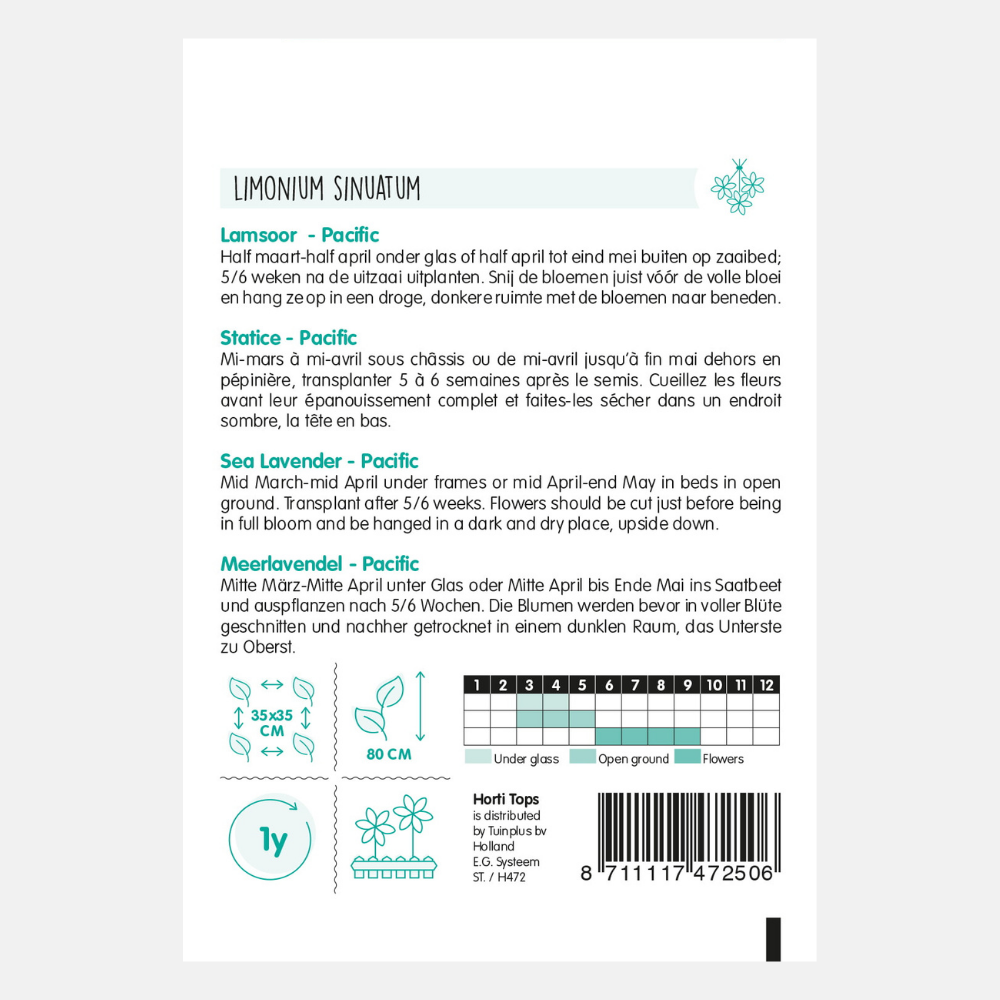 Lavande de mer 'Pacific' - en mélange