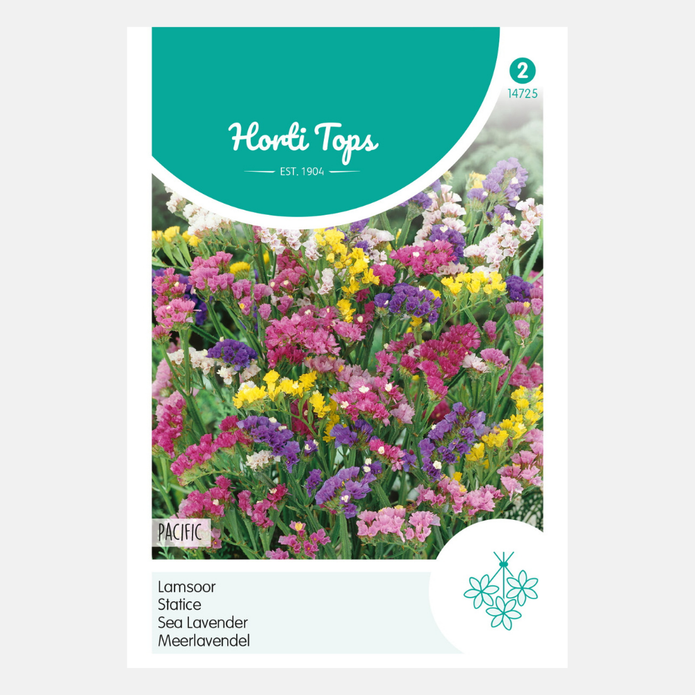 Lavande de mer 'Pacific' - en mélange