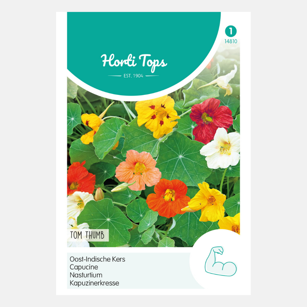 Nasturtium 'Tom Thumb' - single flowered, mixed, low