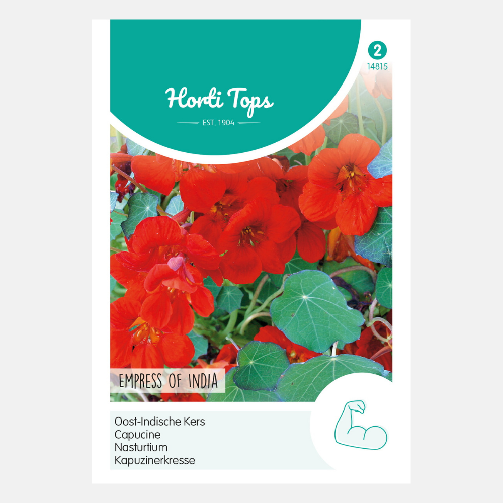 East Indian Cherry 'Empress Of India'