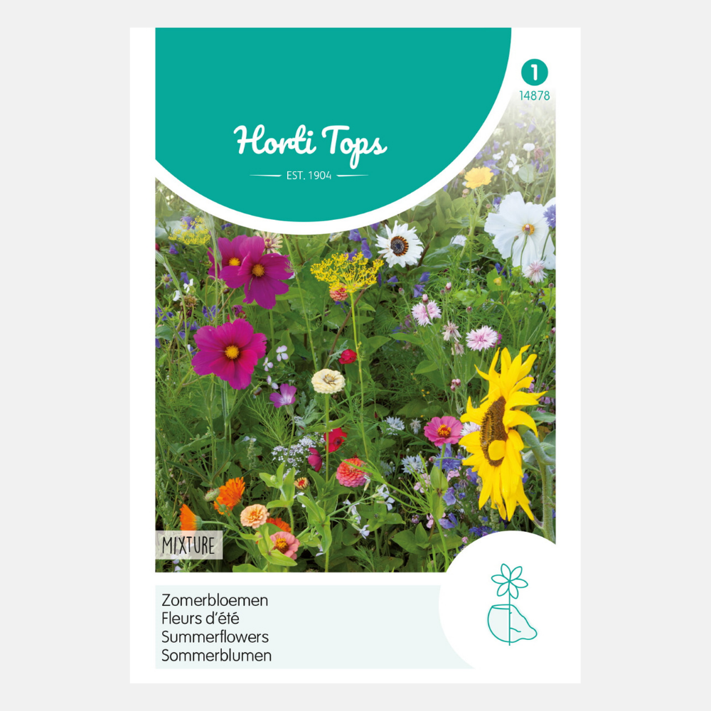 Fleurs d'été - mixtes