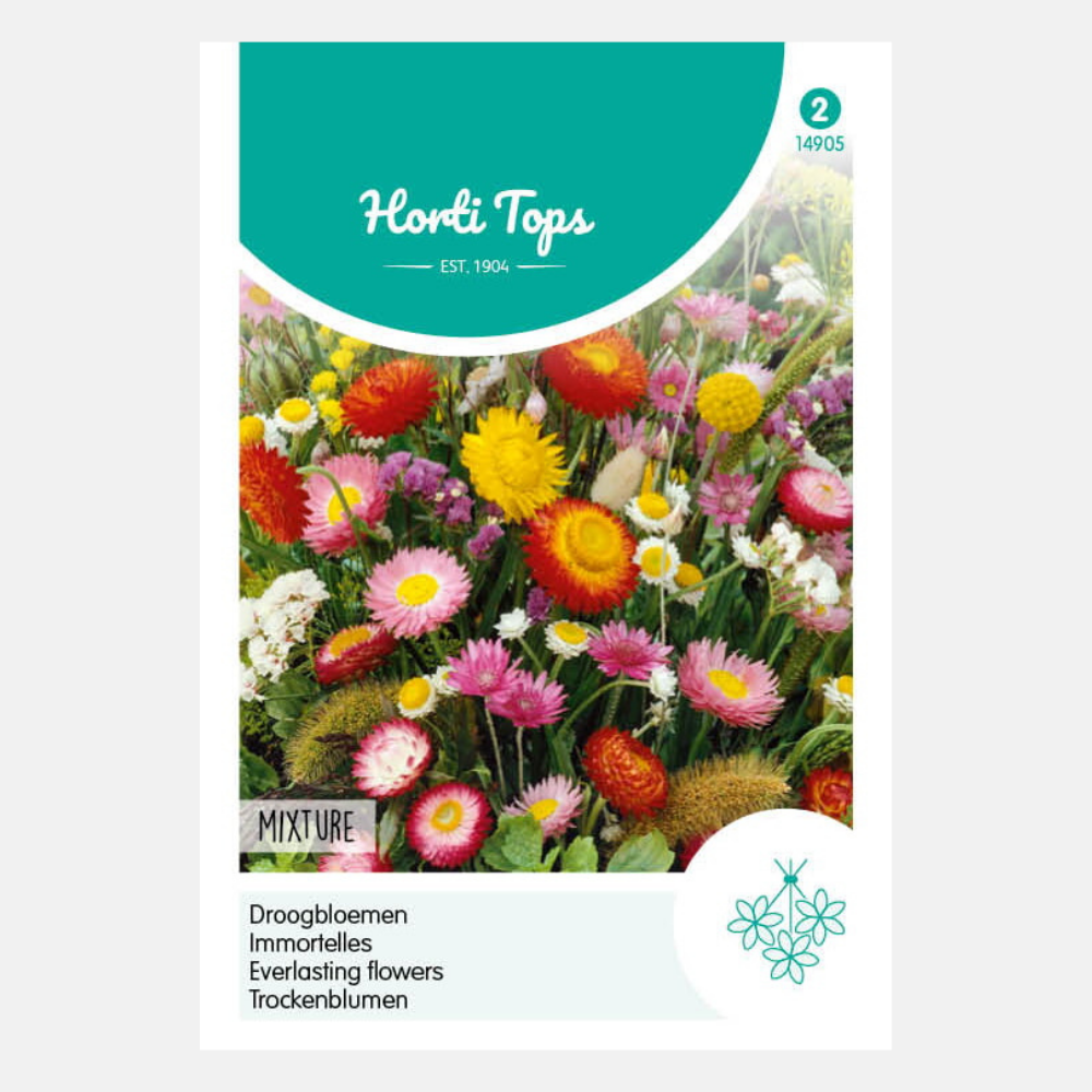 Mélange de bouquets séchés - fleurs séchées annuelles