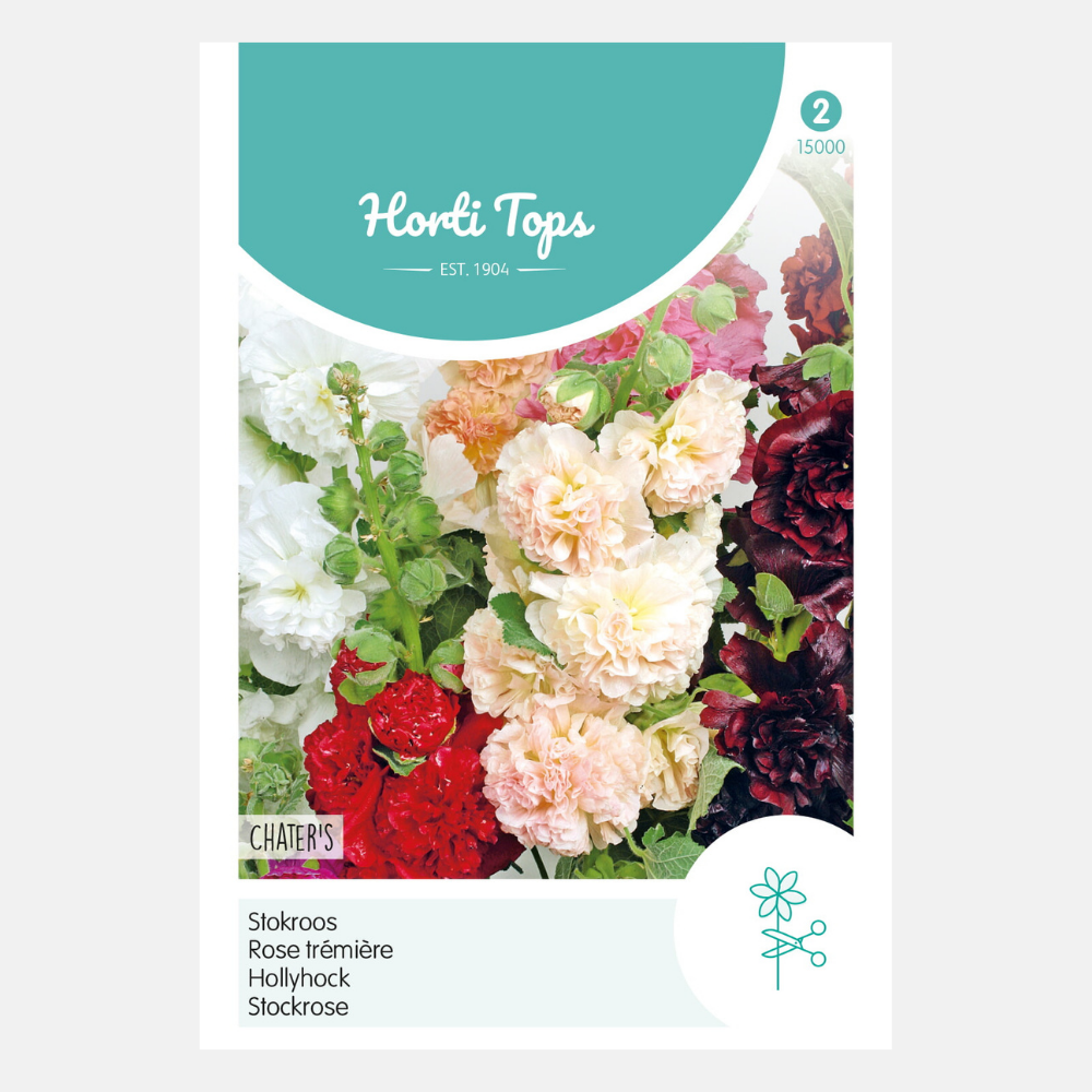 Hollyhock 'Chater's' - double flowered, mixed