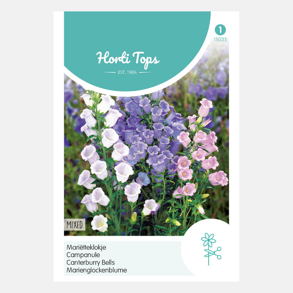Marietteklokje - mélange de fleurs simples
