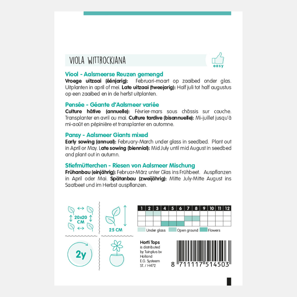 Violin 'Aalsmeer Giants'